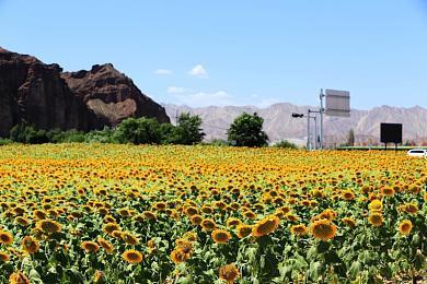 平台解密《Ugly》将于9月14日推出 登陆XB1＆NS＆PC